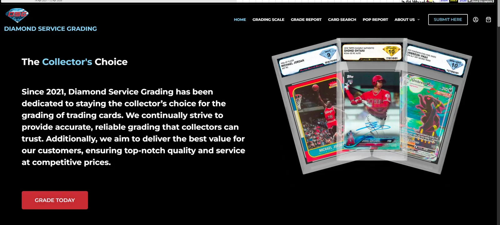 Archived DSG homepage with grading introduction and submission link