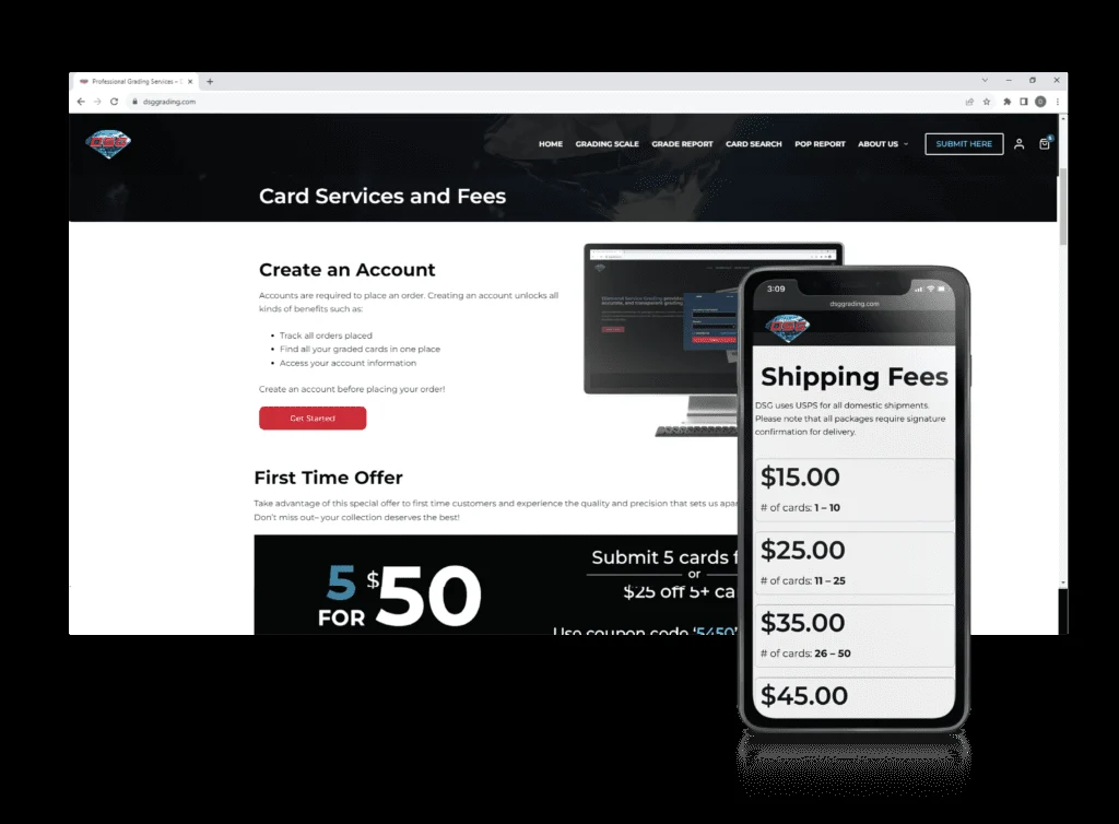 DSG website presentation from the supplied portfolio archive